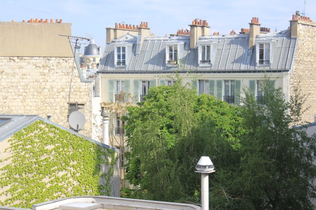 rooftops in Paris