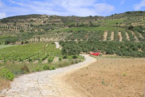 Heraklion Wine Country