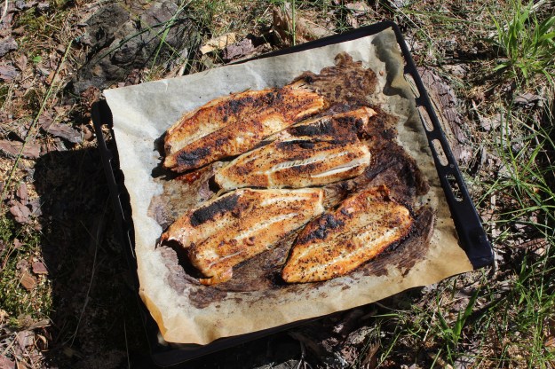 oven-baked white fish